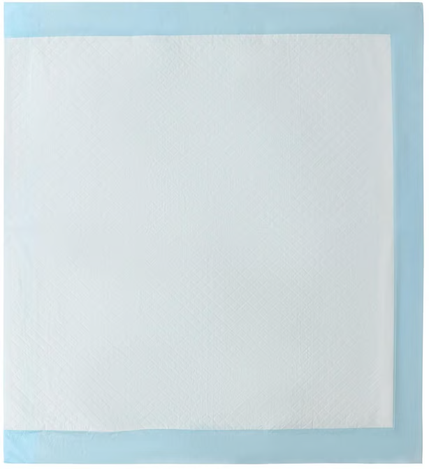 Pawsitively Fun! Pets Training Pads 30-Pack