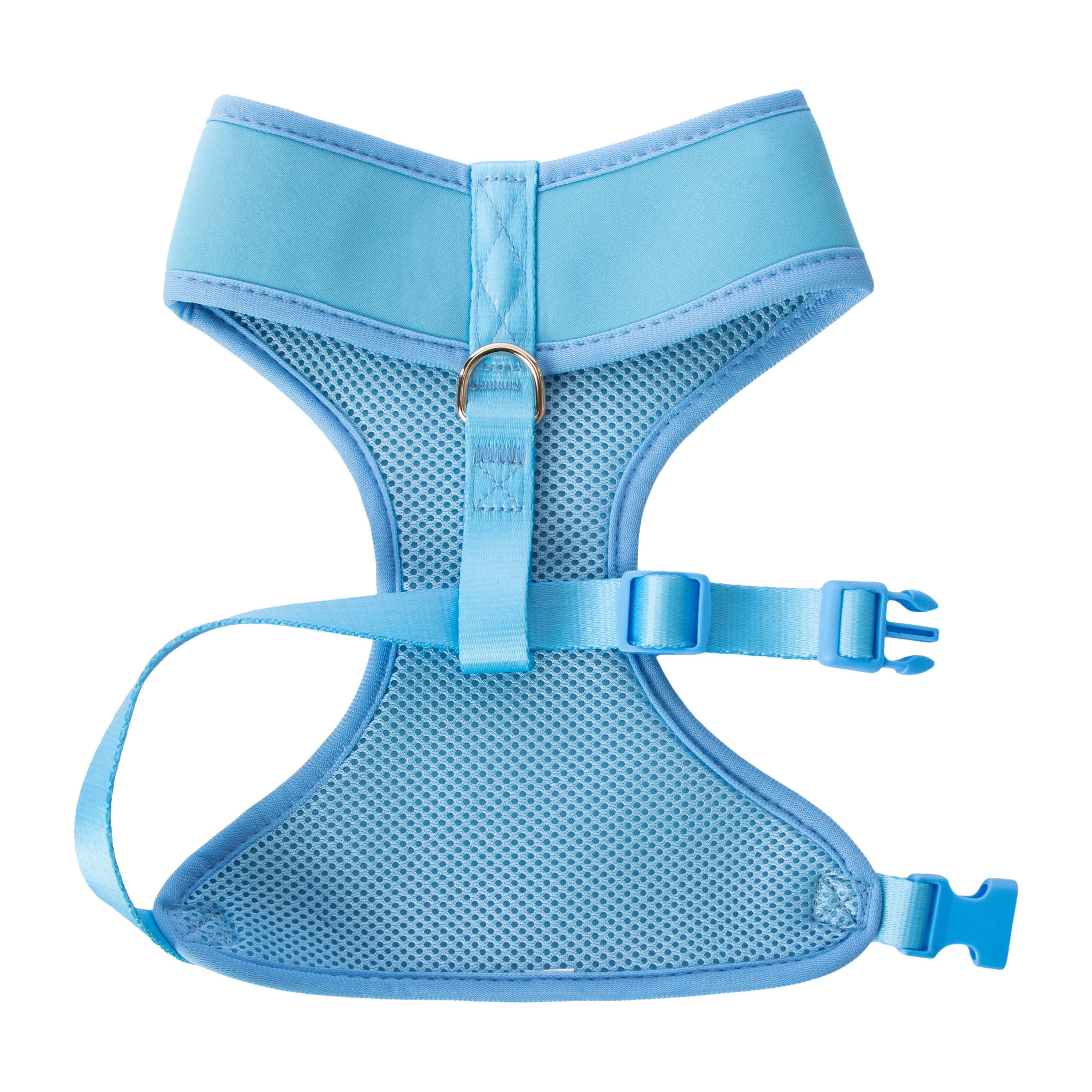 Pawsitively Fun! Pet Harness in Chattanooga, TN