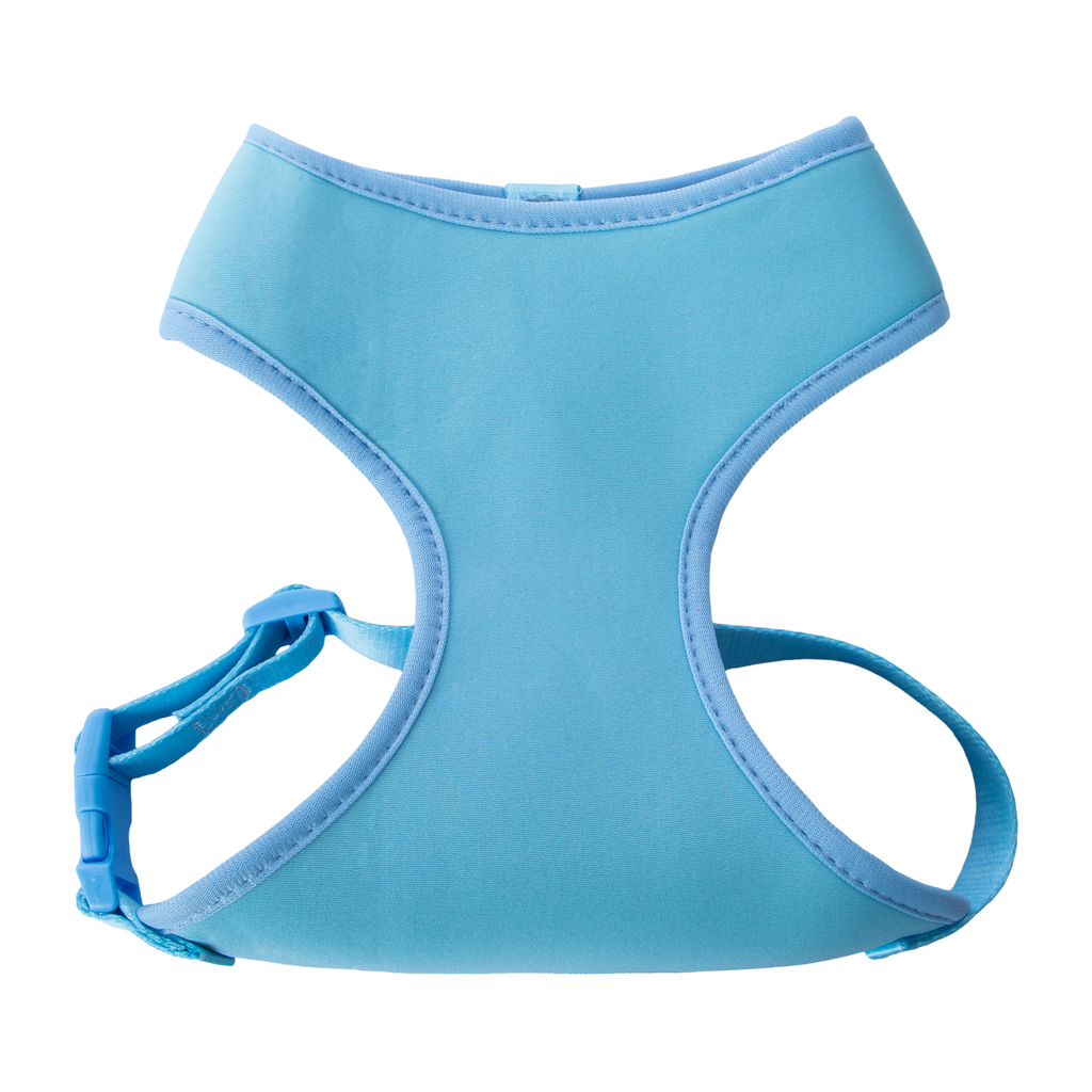 Pawsitively Fun! Pet Harness in Chattanooga, TN