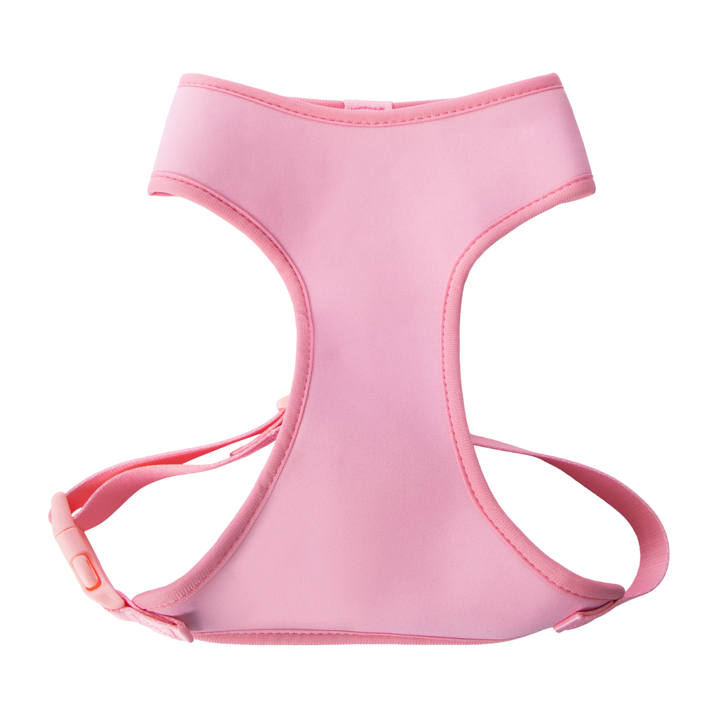 Pawsitively Fun! Pet Harness in Chattanooga, TN