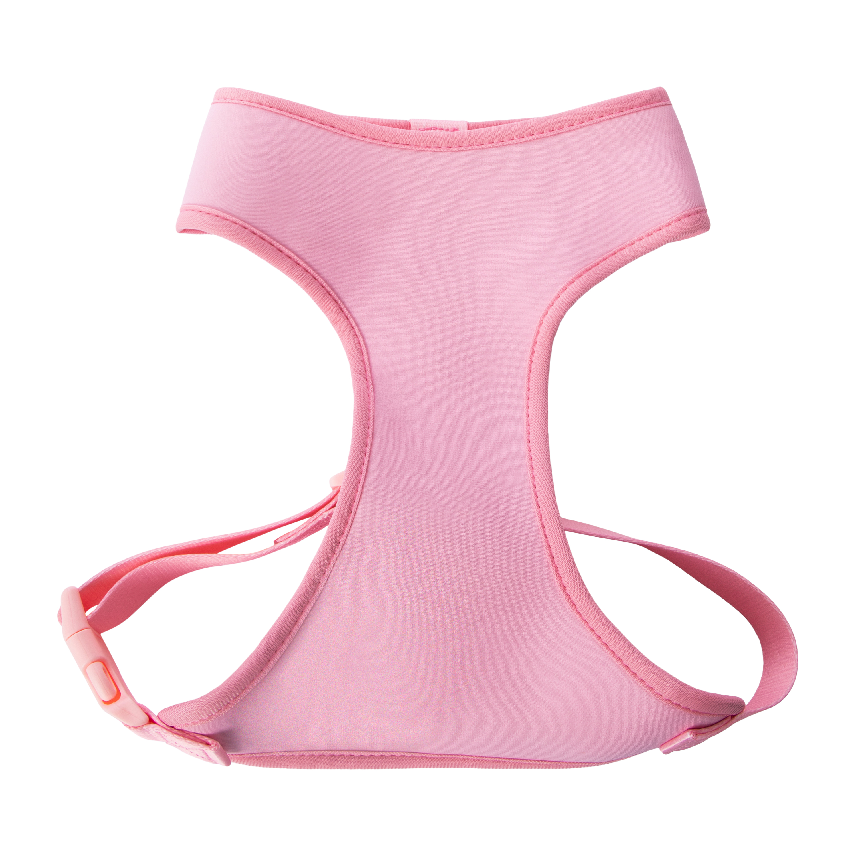 Pawsitively Fun! Pet Harness in Chattanooga, TN